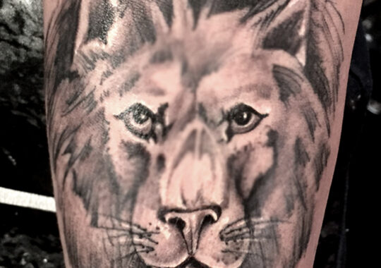 Petit tatouage de tête de lion réaliste réalisé à Aix-en-Provence