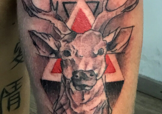 Tatouage réaliste de cerf réalisé à Aix-en-Provence