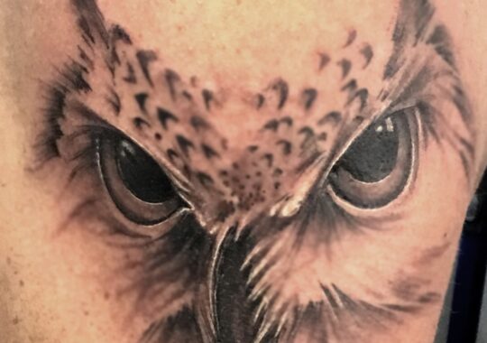 Tatouage réaliste d'une chouette