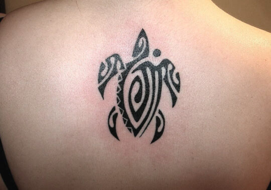 Tatouage maori de tortue