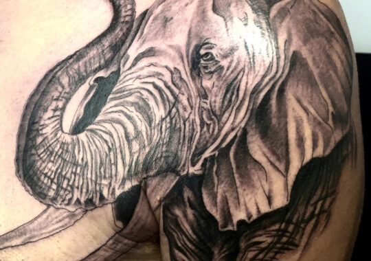 Tatouage réaliste de tête d'éléphant réalisé par un tatoueur à Aix-en-Provence