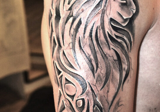 Tatouage tribal de lion sur l'épaule réalisé à Aix-en-Provence