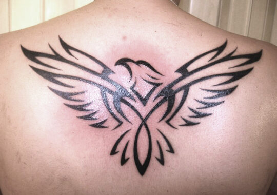 Tatouage tribal d'aigle à Aix-en-Provence